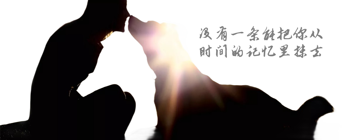 殡葬常识